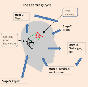 learning cycle s 2015