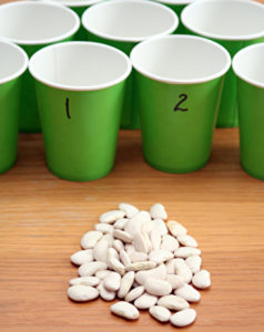An image of cups for maths activities