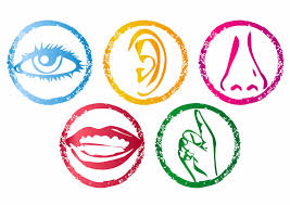 An image with icons for the five senses